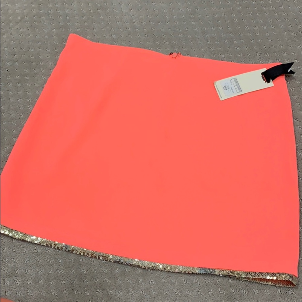 BB Dakota Skirt with sequin lining
